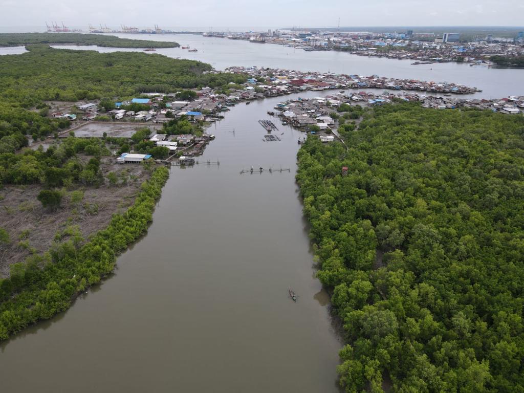 Gambar 3. Salah satu foto hasil drone dari mangrove Kampung Nelayan Seberang. Pelabuhan Belawan ada di bagian atas foto.