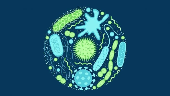 CIMSA USU Bahas Antimicrobial Resistance