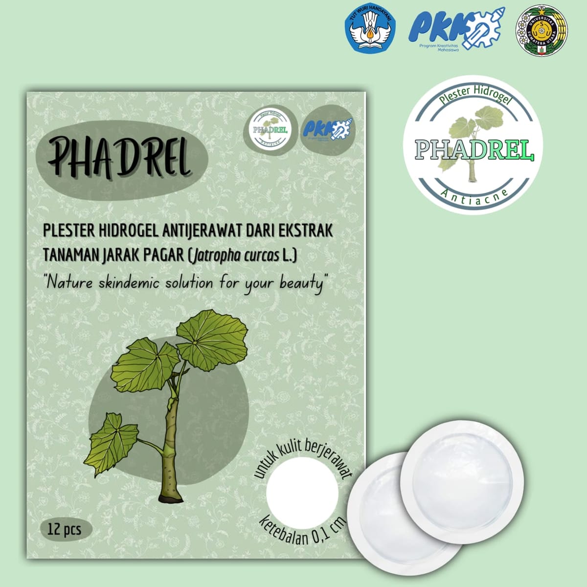 Phadrel: Inovasi Plester Anti Jerawat dari Tanaman Jarak Pagar!