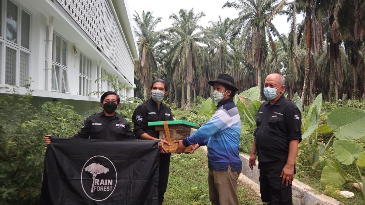 Rain Forest dan Fakultas Kehutanan Langsungkan Pengabdian Masyarakat