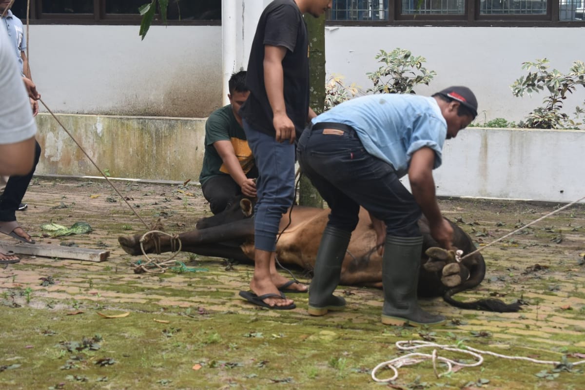 Rektor USU beserta Jajarannya Laksanakan Kurban di FISIP USU